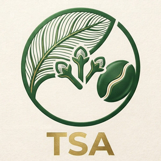TSA Logo
